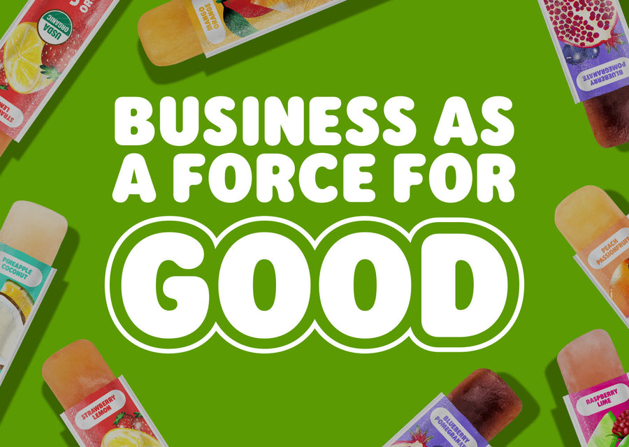 The Power of Purpose: Our B Corp Story