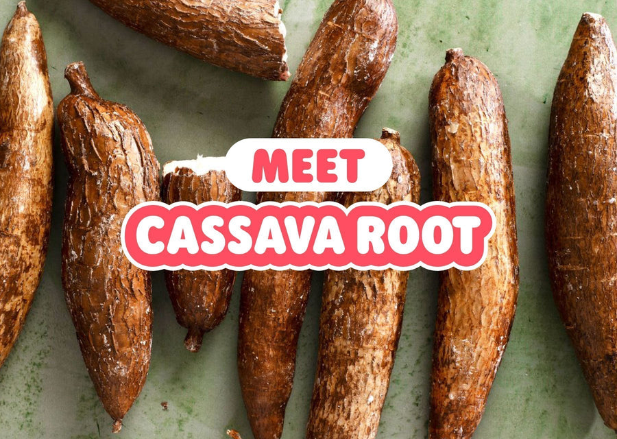 Whole cassava roots displayed on a green background with the headline "Meet Cassava Root," introducing the natural source of prebiotic fiber used in foods and beverages.